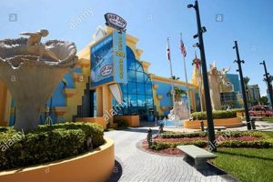 Your Guide to Daytona Beach Surf Shops: Gear & Rentals Learn to Surf & Skate: A Beginner's Step-by-Step Guide Your Guide to Daytona Beach Surf Shops: Gear & Rentals | Learn to Surf & Skate: A Beginner's Step-by-Step Guide