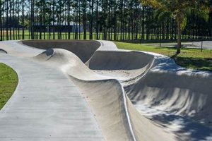 Lakeland Skate Parks: Your Guide + More! Learn to Surf & Skate: A Beginner's Step-by-Step Guide Lakeland Skate Parks: Your Guide + More! | Learn to Surf & Skate: A Beginner's Step-by-Step Guide