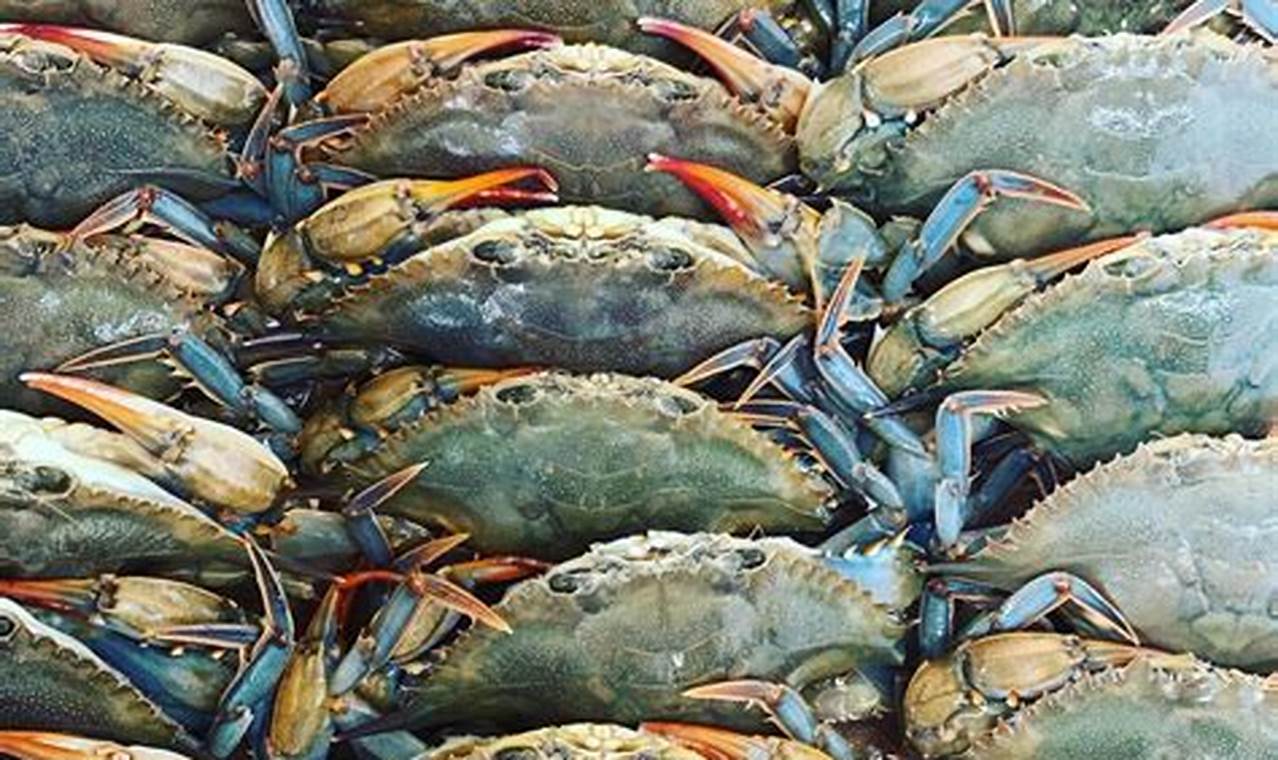 Best Seafood Surf City NC: Fresh Coastal Eats! Learn to Surf & Skate: A Beginner's Step-by-Step Guide Best Seafood Surf City NC: Fresh Coastal Eats! | Learn to Surf & Skate: A Beginner's Step-by-Step Guide