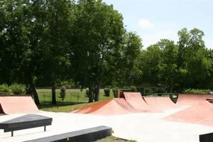 Discover Alvin Skate Park: Your Guide to Local Shred Spots Learn to Surf & Skate: A Beginner's Step-by-Step Guide Discover Alvin Skate Park: Your Guide to Local Shred Spots | Learn to Surf & Skate: A Beginner's Step-by-Step Guide