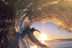 Find the Perfect Surfer Wave: Conditions & Tips! Learn to Surf & Skate: A Beginner's Step-by-Step Guide Find the Perfect Surfer Wave: Conditions & Tips! | Learn to Surf & Skate: A Beginner's Step-by-Step Guide