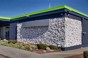 Your Guide: Roller Skate Shop Seattle - Find Skates! Learn to Surf & Skate: A Beginner's Step-by-Step Guide Your Guide: Roller Skate Shop Seattle - Find Skates! | Learn to Surf & Skate: A Beginner's Step-by-Step Guide