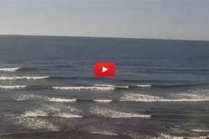 Carlsbad Surf Cam: Live Beach & Wave Conditions Now Learn to Surf & Skate: A Beginner's Step-by-Step Guide Carlsbad Surf Cam: Live Beach & Wave Conditions Now | Learn to Surf & Skate: A Beginner's Step-by-Step Guide