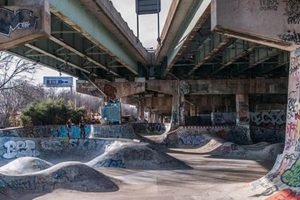 Visit Philly's FDR Skate Park: A Skater's Guide + Tips! Learn to Surf & Skate: A Beginner's Step-by-Step Guide Visit Philly's FDR Skate Park: A Skater's Guide + Tips! | Learn to Surf & Skate: A Beginner's Step-by-Step Guide