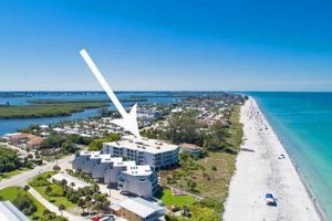 Manasota Key Surf Club: Your FL Beach Guide! Learn to Surf & Skate: A Beginner's Step-by-Step Guide Manasota Key Surf Club: Your FL Beach Guide! | Learn to Surf & Skate: A Beginner's Step-by-Step Guide