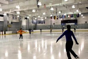 Ellenton Ice Skate Learn to Surf & Skate: A Beginner's Step-by-Step Guide Ellenton Ice Skate | Learn to Surf & Skate: A Beginner's Step-by-Step Guide