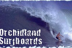 Your Guide to Hilo Surf Shop: Rentals, Gear & More Learn to Surf & Skate: A Beginner's Step-by-Step Guide Your Guide to Hilo Surf Shop: Rentals, Gear & More | Learn to Surf & Skate: A Beginner's Step-by-Step Guide