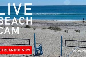 Atlantic Beach Surf Cam NC: Watch Live Waves + Beach Views Learn to Surf & Skate: A Beginner's Step-by-Step Guide Atlantic Beach Surf Cam NC: Watch Live Waves + Beach Views | Learn to Surf & Skate: A Beginner's Step-by-Step Guide