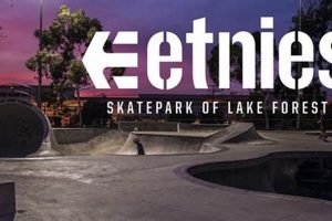 Explore Etnies Skate Park: Your Ultimate Skateboarding Destination! Learn to Surf & Skate: A Beginner's Step-by-Step Guide Explore Etnies Skate Park: Your Ultimate Skateboarding Destination! | Learn to Surf & Skate: A Beginner's Step-by-Step Guide