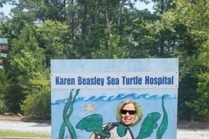 Surf City's Lifeline: Turtle Hospital Rescue & Rehab Learn to Surf & Skate: A Beginner's Step-by-Step Guide Surf City's Lifeline: Turtle Hospital Rescue & Rehab | Learn to Surf & Skate: A Beginner's Step-by-Step Guide