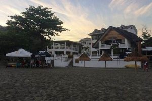 San Juan Surf Resort Hotel: Your Surf Paradise! Learn to Surf & Skate: A Beginner's Step-by-Step Guide San Juan Surf Resort Hotel: Your Surf Paradise! | Learn to Surf & Skate: A Beginner's Step-by-Step Guide