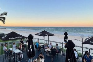 Palm Beach Surf Club: Your Coastal Paradise Access Learn to Surf & Skate: A Beginner's Step-by-Step Guide Palm Beach Surf Club: Your Coastal Paradise Access | Learn to Surf & Skate: A Beginner's Step-by-Step Guide