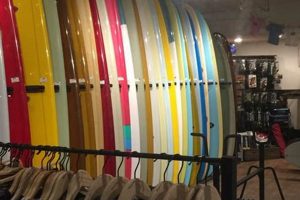 Bing Surf Shop Learn to Surf & Skate: A Beginner's Step-by-Step Guide Bing Surf Shop | Learn to Surf & Skate: A Beginner's Step-by-Step Guide