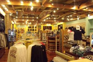 Vegas Surf Style: Ron Jon Surf Shop Las Vegas Outlet Learn to Surf & Skate: A Beginner's Step-by-Step Guide Vegas Surf Style: Ron Jon Surf Shop Las Vegas Outlet | Learn to Surf & Skate: A Beginner's Step-by-Step Guide