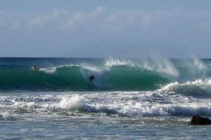 Hapuna Surf Cam: Live Big Island Waves + Beach Views Learn to Surf & Skate: A Beginner's Step-by-Step Guide Hapuna Surf Cam: Live Big Island Waves + Beach Views | Learn to Surf & Skate: A Beginner's Step-by-Step Guide