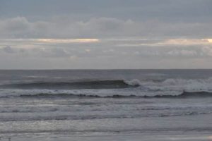 Your NSB Surf Report HQ: Conditions & Forecasts Now! Learn to Surf & Skate: A Beginner's Step-by-Step Guide Your NSB Surf Report HQ: Conditions & Forecasts Now! | Learn to Surf & Skate: A Beginner's Step-by-Step Guide