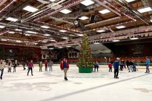 Learn to Ice Skate Santa Rosa: Tips & Fun! Learn to Surf & Skate: A Beginner's Step-by-Step Guide Learn to Ice Skate Santa Rosa: Tips & Fun! | Learn to Surf & Skate: A Beginner's Step-by-Step Guide