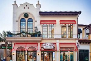 Find Ron Jon Surf Shop Locations in Florida Today! Learn to Surf & Skate: A Beginner's Step-by-Step Guide Find Ron Jon Surf Shop Locations in Florida Today! | Learn to Surf & Skate: A Beginner's Step-by-Step Guide