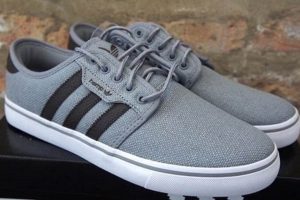 Find Your Ride: Most Comfy Skate Shoes For Your Style Learn to Surf & Skate: A Beginner's Step-by-Step Guide Find Your Ride: Most Comfy Skate Shoes For Your Style | Learn to Surf & Skate: A Beginner's Step-by-Step Guide