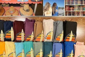 Your Guide to Suncatcher Surf Shop Stone Harbor NJ - [Year] | Learn to Surf & Skate: A Beginner's Step-by-Step Guide