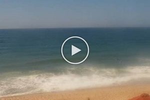 Montauk Surf Cam: Live Beach Views & Surf Report Learn to Surf & Skate: A Beginner's Step-by-Step Guide Montauk Surf Cam: Live Beach Views & Surf Report | Learn to Surf & Skate: A Beginner's Step-by-Step Guide