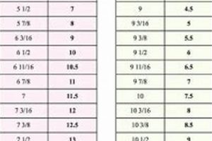 Figure Skates: What Size Should I Get? [Guide] | Learn to Surf & Skate: A Beginner's Step-by-Step Guide