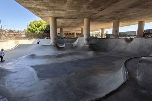 Visit Washington Street Skate Park: A Local Gem Learn to Surf & Skate: A Beginner's Step-by-Step Guide Visit Washington Street Skate Park: A Local Gem | Learn to Surf & Skate: A Beginner's Step-by-Step Guide