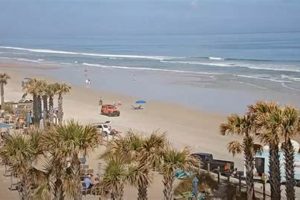 Your Flagler Surf Report Today: Waves & Conditions Safem Fabrication - Precision Engineering & Custom Manufacturing Solutions Your Flagler Surf Report Today: Waves & Conditions | Safem Fabrication - Precision Engineering & Custom Manufacturing Solutions