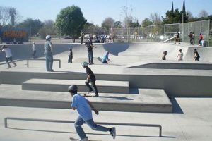 Explore the Best Bay Area Skate Parks: Locations & Info Learn to Surf & Skate: A Beginner's Step-by-Step Guide Explore the Best Bay Area Skate Parks: Locations & Info | Learn to Surf & Skate: A Beginner's Step-by-Step Guide