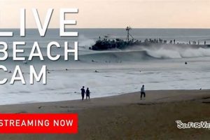 Live Manasquan Surf Cam: Check NJ Waves Now! Learn to Surf & Skate: A Beginner's Step-by-Step Guide Live Manasquan Surf Cam: Check NJ Waves Now! | Learn to Surf & Skate: A Beginner's Step-by-Step Guide