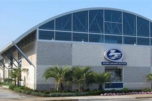 Your Guide to 17th St Surf Shop VA Beach | Surf & More Learn to Surf & Skate: A Beginner's Step-by-Step Guide Your Guide to 17th St Surf Shop VA Beach | Surf & More | Learn to Surf & Skate: A Beginner's Step-by-Step Guide