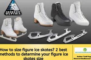 Find Your Perfect Ice Skate Size: A Complete Guide! Learn to Surf & Skate: A Beginner's Step-by-Step Guide Find Your Perfect Ice Skate Size: A Complete Guide! | Learn to Surf & Skate: A Beginner's Step-by-Step Guide