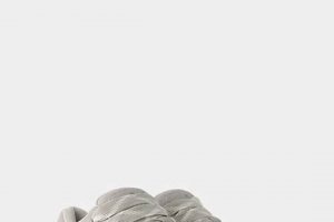 Bershka Skater Shoes: Style &amp; Grip! [Buy Now] | Learn to Surf & Skate: A Beginner's Step-by-Step Guide