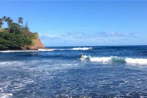 Your Big Island Surf Report: [Conditions & More] | Learn to Surf & Skate: A Beginner's Step-by-Step Guide