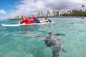 Learn Surf Lessons Waikiki: Best Beginner Waves + Tips Learn to Surf & Skate: A Beginner's Step-by-Step Guide Learn Surf Lessons Waikiki: Best Beginner Waves + Tips | Learn to Surf & Skate: A Beginner's Step-by-Step Guide