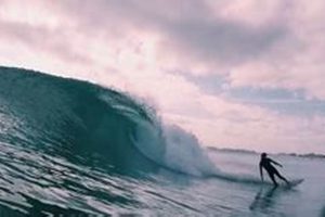 Live Innerlight Surf Cam: See the Waves Now! Learn to Surf & Skate: A Beginner's Step-by-Step Guide Live Innerlight Surf Cam: See the Waves Now! | Learn to Surf & Skate: A Beginner's Step-by-Step Guide