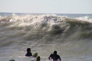 Gulfster Surf Report: Your Coastal Wave Forecast Guide! Learn to Surf & Skate: A Beginner's Step-by-Step Guide Gulfster Surf Report: Your Coastal Wave Forecast Guide! | Learn to Surf & Skate: A Beginner's Step-by-Step Guide