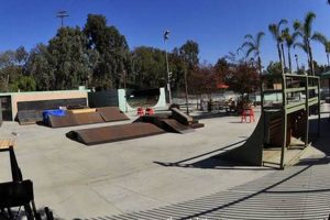 Explore Chula Vista's Best Skate Parks: A Local's Guide Learn to Surf & Skate: A Beginner's Step-by-Step Guide Explore Chula Vista's Best Skate Parks: A Local's Guide | Learn to Surf & Skate: A Beginner's Step-by-Step Guide