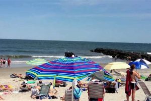 Your Guide to Surf Road Beach: [Location] & More! | Learn to Surf & Skate: A Beginner's Step-by-Step Guide