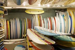Your Cinnamon Surf Shop: Boards, Gear & More! Learn to Surf & Skate: A Beginner's Step-by-Step Guide Your Cinnamon Surf Shop: Boards, Gear & More! | Learn to Surf & Skate: A Beginner's Step-by-Step Guide