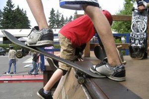 Lake Oswego Skate Park Fun: Shred It! Safem Fabrication - Precision Engineering & Custom Manufacturing Solutions Lake Oswego Skate Park Fun: Shred It! | Safem Fabrication - Precision Engineering & Custom Manufacturing Solutions