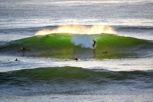 Your Windansea Surf Report: Conditions & Wave Watch Learn to Surf & Skate: A Beginner's Step-by-Step Guide Your Windansea Surf Report: Conditions & Wave Watch | Learn to Surf & Skate: A Beginner's Step-by-Step Guide