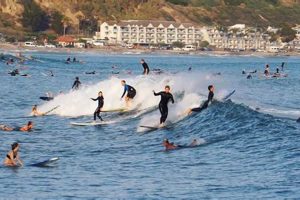 Your Doheny Beach Surf Report: Today's Waves & Tides Learn to Surf & Skate: A Beginner's Step-by-Step Guide Your Doheny Beach Surf Report: Today's Waves & Tides | Learn to Surf & Skate: A Beginner's Step-by-Step Guide