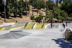 Find Skate Parks Near Me Within 20 Miles? [LOCATIONS] | Learn to Surf & Skate: A Beginner's Step-by-Step Guide