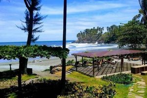 Explore Las Flores Surf Club: Lessons & Rentals Learn to Surf & Skate: A Beginner's Step-by-Step Guide Explore Las Flores Surf Club: Lessons & Rentals | Learn to Surf & Skate: A Beginner's Step-by-Step Guide