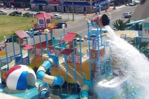 Splash into Fun: Thundering Surf Waterpark Beach Haven, NJ! Learn to Surf & Skate: A Beginner's Step-by-Step Guide Splash into Fun: Thundering Surf Waterpark Beach Haven, NJ! | Learn to Surf & Skate: A Beginner's Step-by-Step Guide
