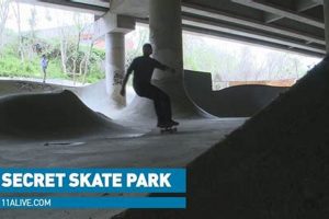 Find a Secret Skate Park: Hidden Gems & More! Learn to Surf & Skate: A Beginner's Step-by-Step Guide Find a Secret Skate Park: Hidden Gems & More! | Learn to Surf & Skate: A Beginner's Step-by-Step Guide