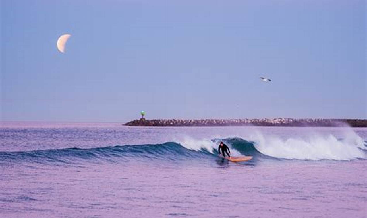 Oceanside Surf Report: Local Waves &amp; Beach Info Today | Learn to Surf & Skate: A Beginner's Step-by-Step Guide