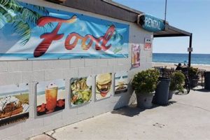 Your Guide: Surf Food Stand & Beach Rentals Near You! Learn to Surf & Skate: A Beginner's Step-by-Step Guide Your Guide: Surf Food Stand & Beach Rentals Near You! | Learn to Surf & Skate: A Beginner's Step-by-Step Guide