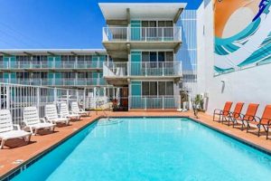 Your OC MD Surf Inn: Ocean City's Best Surf Lodging Learn to Surf & Skate: A Beginner's Step-by-Step Guide Your OC MD Surf Inn: Ocean City's Best Surf Lodging | Learn to Surf & Skate: A Beginner's Step-by-Step Guide